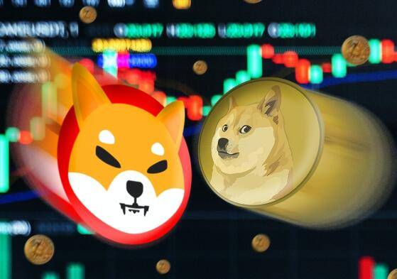 Meme币交易入口在哪？XBIT去中心化交易所为投资者提供更优解