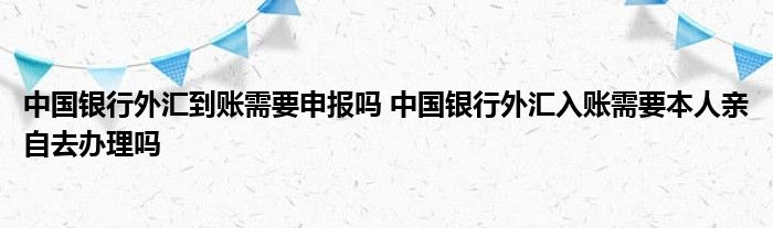 如何外汇申报(如何进行外汇申报)