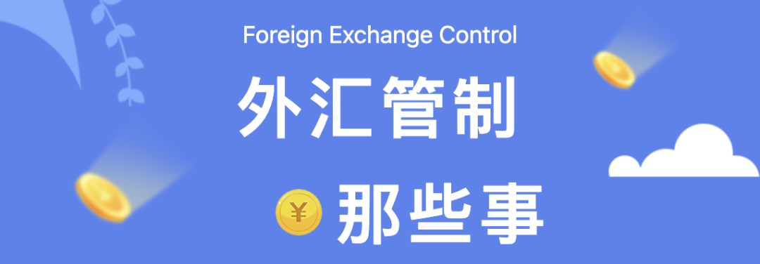 外汇监管形势(外汇监管形势分析)