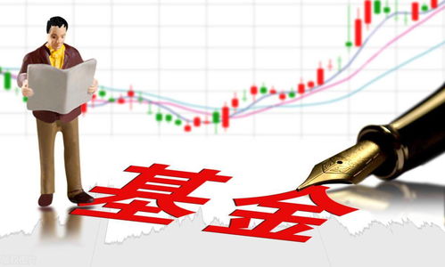 炒外汇的意思(炒外汇是什么意思,要哪些步骤)