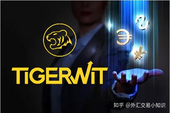 外汇投资哪个平台(外汇投资哪个平台比较好)