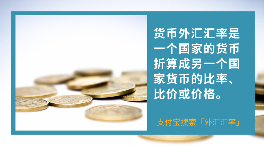 外汇风险类型(汇率变动的经济影响)