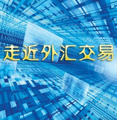 个人外汇用途(个人外汇用途能入账么开放资本项目)