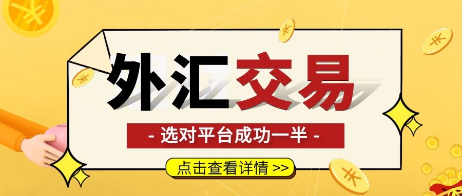 个人外汇交易平台(个人外汇交易平台官网)