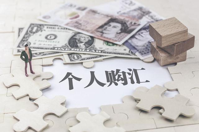 借外汇额度(借用外汇额度会有什么处罚)
