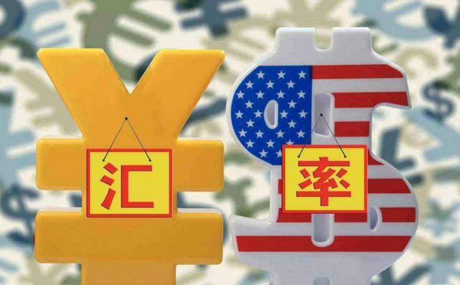 外汇过剩(外汇储备过剩)