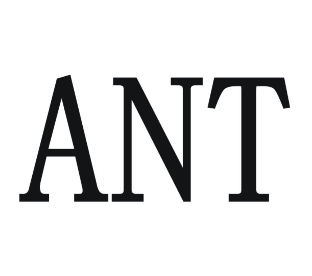 ant外汇(中国最安全的外汇平台)
