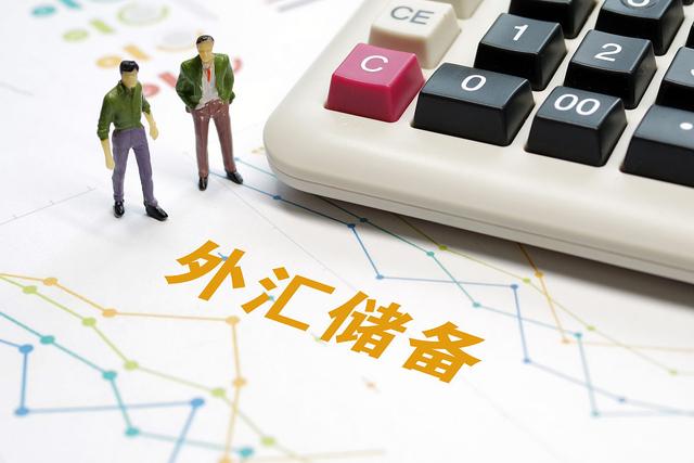 银行外汇储备(银行外汇储备安全性最重要的因素是)