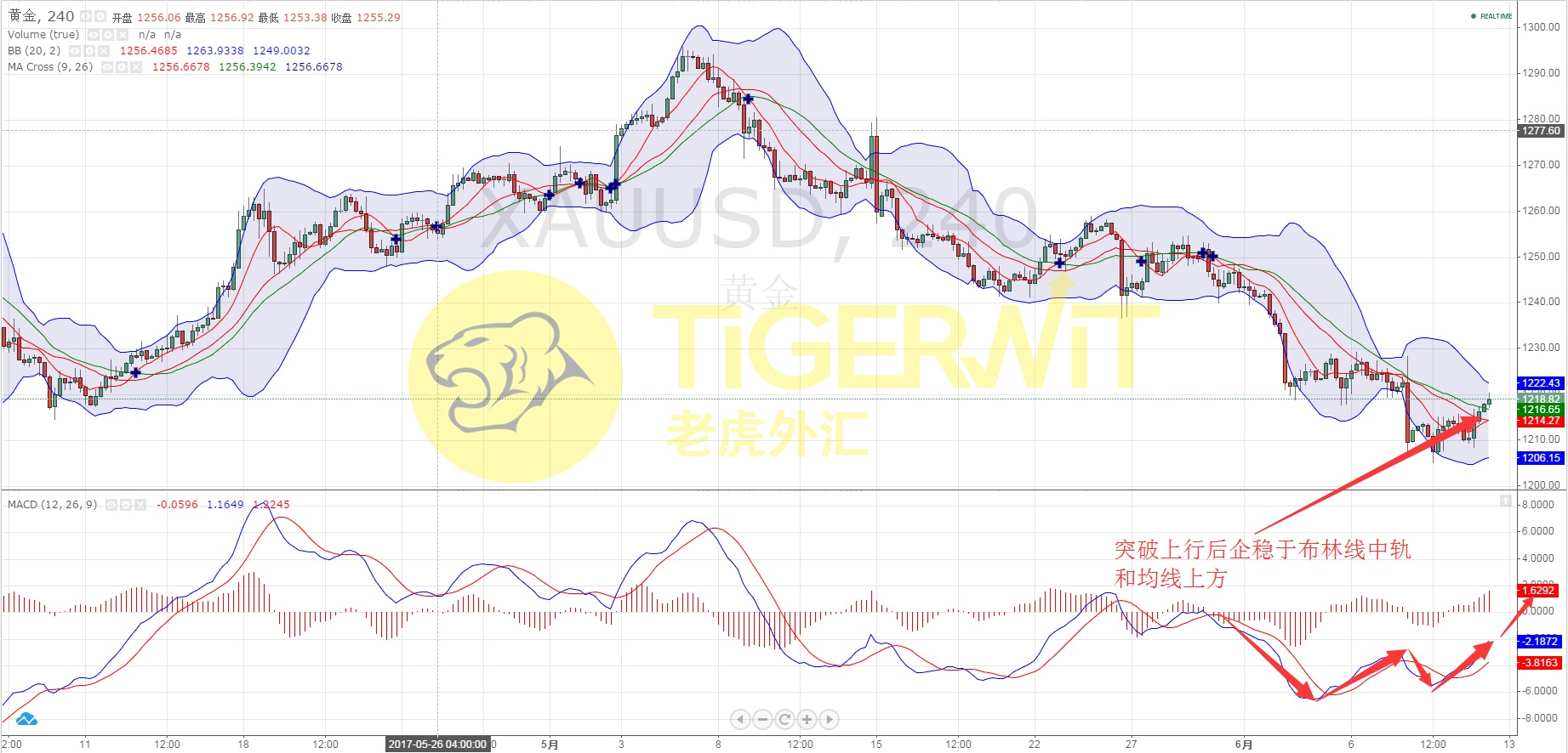tigerwit老虎外汇(tigerwit老虎外汇系统维护升级)