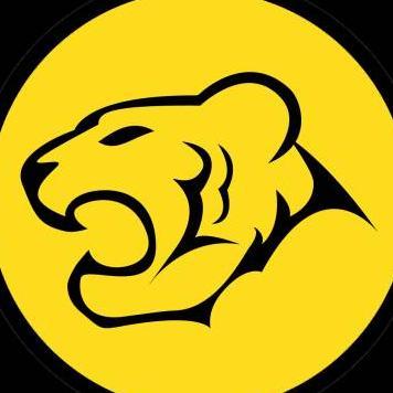 tigerwit老虎外汇(tigerwit老虎外汇怎么样)