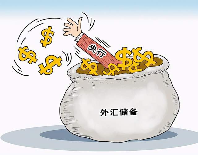 个人外汇用途(个人外汇用途代码)