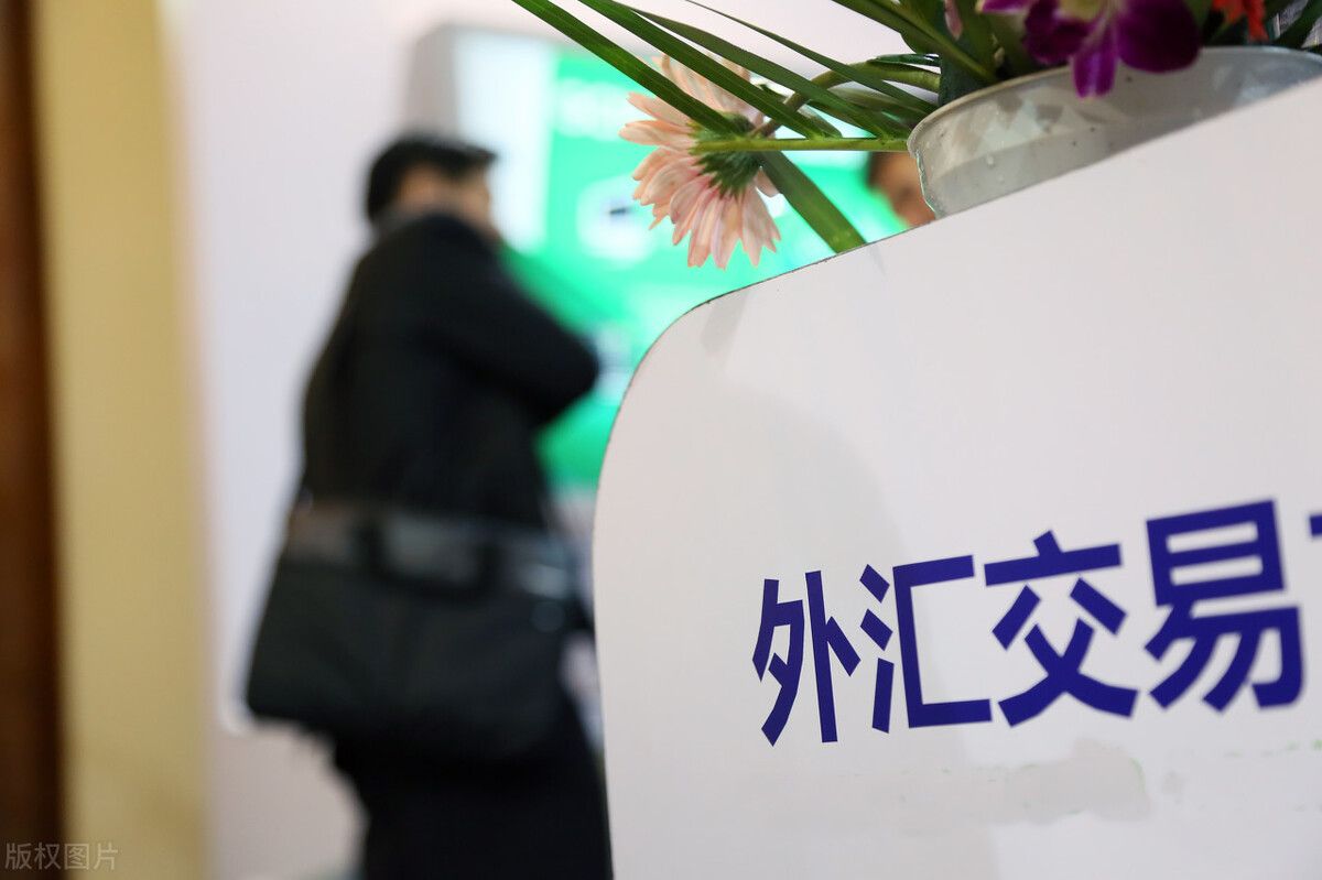 国家外汇局服务平台(国家外汇局网上服务平台官网)
