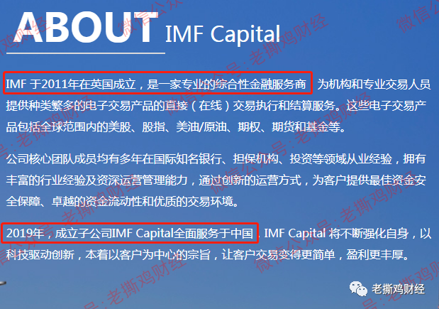 证券公司外汇(证券公司外汇帐户未报备怎么处罚)