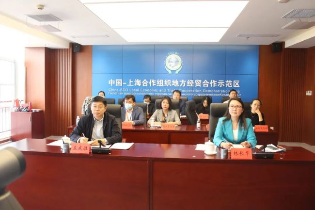 外汇视频讲座(外汇视频教程全集)