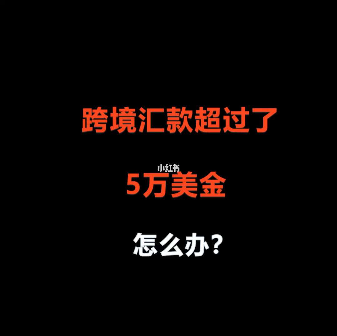 借外汇额度(借外汇额度给别人违法吗)