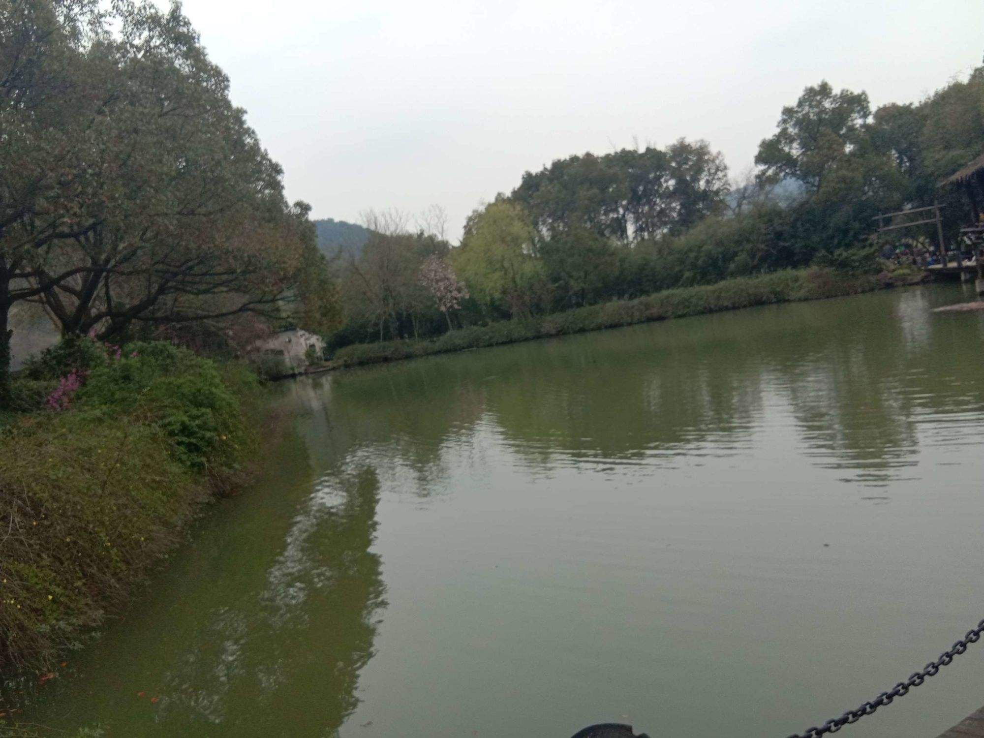 亭辉外汇(亭辉外汇会员)
