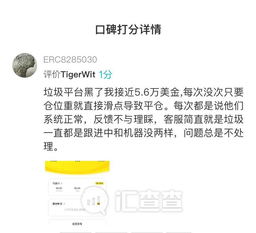 tigerwit老虎外汇(tigerwit老虎外汇官网首页)