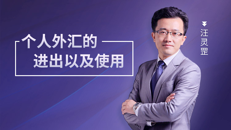 每人外汇(每人外汇限额多少钱)