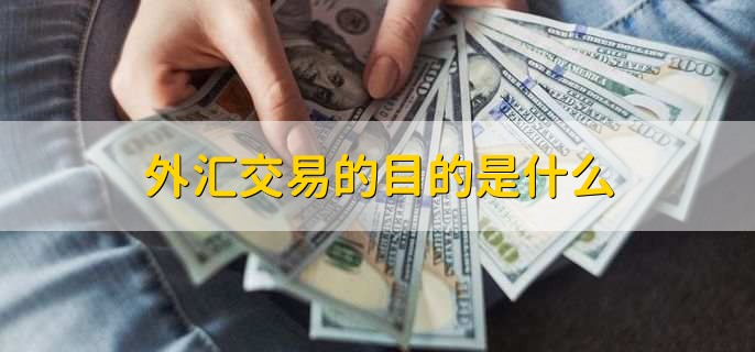 外汇交易产品(外汇交易产品未开通)