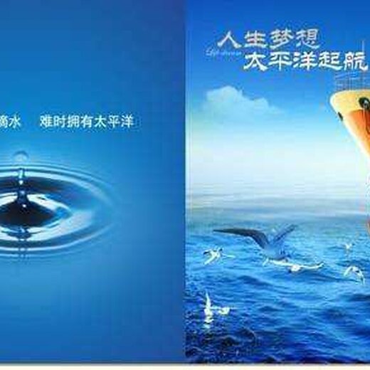 金道外汇平台(金道外汇投资官网下载)