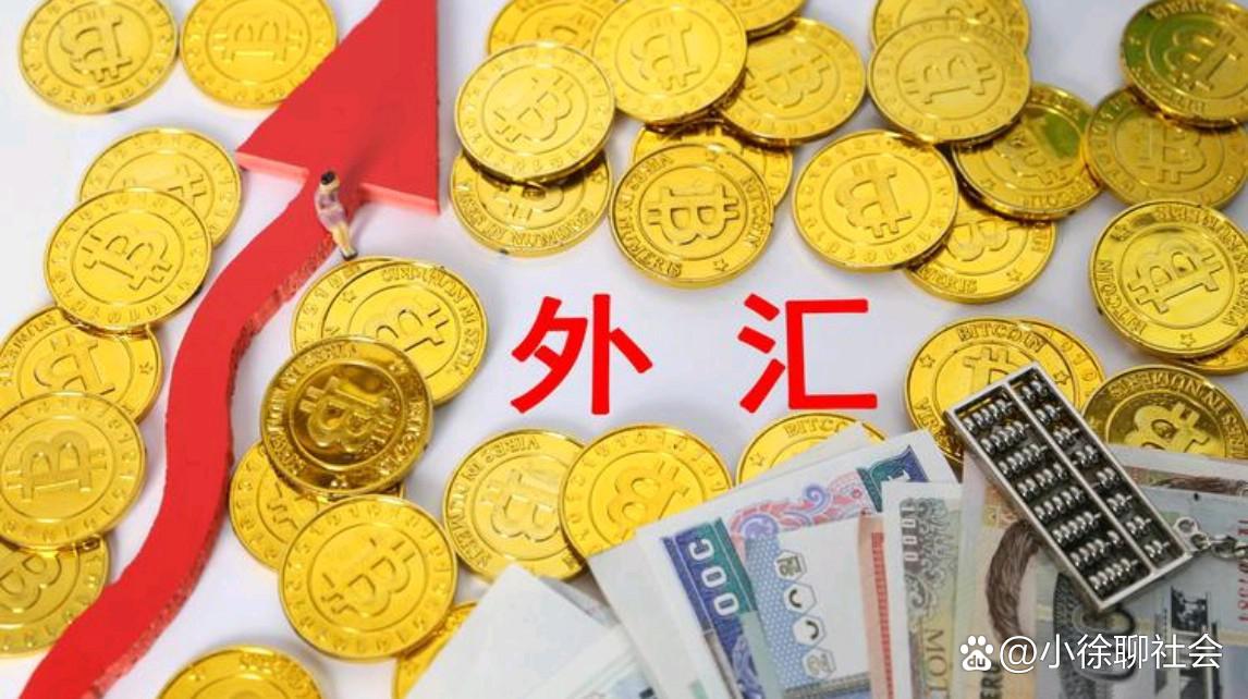 违反外汇(违反外汇管理规定的处罚)