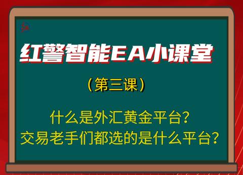 外汇翻译(外汇sib中文翻译)