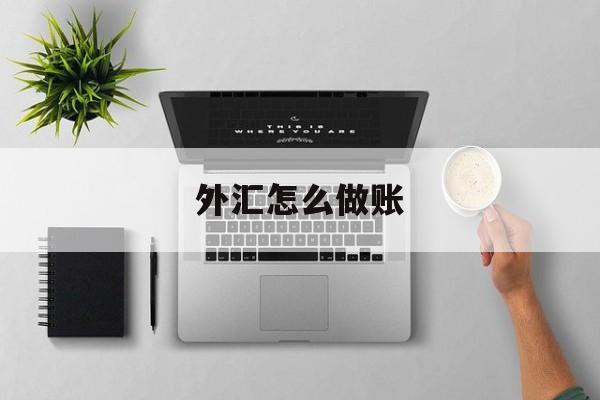 外汇怎么做账(外汇账务如何处理)